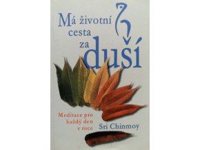 Má životní cesta za duší (1999)