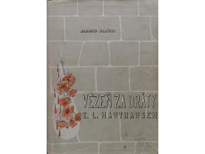 Vězeň za dráty (1946)