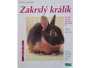 Zakrslý králík (2001)