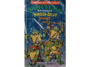 Teenage Mutant Ninja Turtles - Nindža-Želvy zasahují (1992)