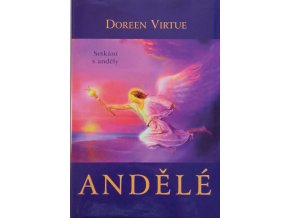 Andělé - Setkání s anděly (2008)