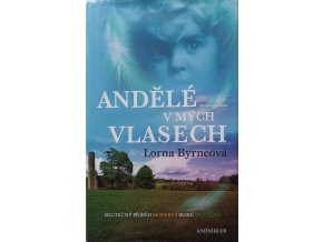 Andělé v mých vlasech (2010)