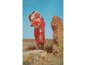 Western indian chief
