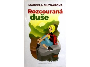 Rozcouraná duše (2017)