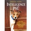 Inteligence psů (2017)
