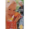 Most do Země lásky (1999)