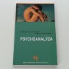 Psychoanalýza (2007)