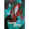 Borek Bayer - Ve vlnách života (2007)