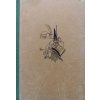 Čarovná skřínka kouzelníka Merlína (1948)