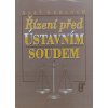 Řízení před ústavním soudem (1996)