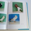 Príručka holubiara (1982)