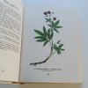 Atlas liečivých rastlín (1965)