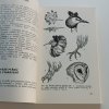 Ornitologická příručka (1981)