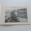 Zeleň a životní prostředí (1975)