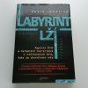 Labyrint lží (2008)