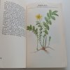 Kapesní herbář léčivých rostlin (1985)