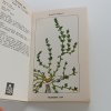 Malý herbář léčivých rostlin (1973)