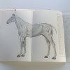 Speciální zootechnika 2 - Chov koní + přílohy (1955)