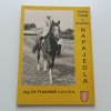 Československé derby a napajedelští plnokrevníci (1971)