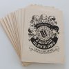 Záhada hlavolamu - Přepodivný příběh ze života "Rychlých Šípů" (1968/69)