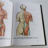 Anatomie člověka I (1987)