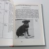 Pes a jeho výcvik (1990)