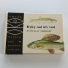 OKO 4 - Ryby našich vod (1965)