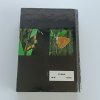 Kapesní atlas našich motýlů (1985)