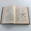 Biologie rostlin (1905)