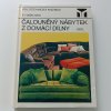 Čalouněný nábytek z domácí dílny (1984)
