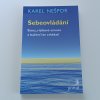 Sebeovládání (2015)