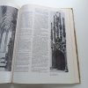 Dějiny českého výtvarného umění I / 1-2 (1984)