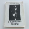 O buddhistické meditaci
