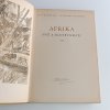 Afrika snů a skutečnosti III (1955)
