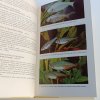 Akvaristika (1984)