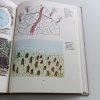 Dětská tvořivost v hudbě a pohybu (1981)