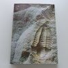 Zkamenělý svět (1989)