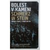 Bolest v kameni (2007)