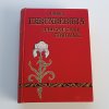 Čermákova rodina aneb pýcha vede k pádu a zapření sebe k vítězství (1902)