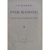 JK200 (33)