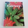 Kaktusy (2000)