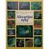 JK211 (11)