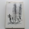 Vzpomínky přírodního léčitele (1991)