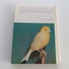 Cizokrajní ptáci v klecích (1981)