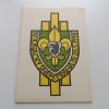 Historie Českého skautingu slovem a obrazem (1990)
