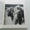 po stopách vzácnej zveri (1980)