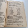 Herbář aneb Bylinář doktora Petra Ondřege Mathiola (1924)