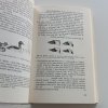 Klíč k určování našich ptáků v přírodě (1986)