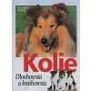 JK48 (3)