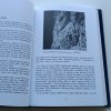 Bílá samota - má dlouhá cesta k vrcholům Himaláje (2004)